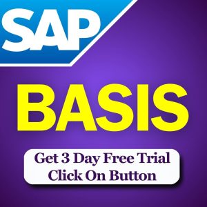 sap basis course online classes in mumbai