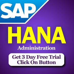 sap hana admin course online classes in mumbai